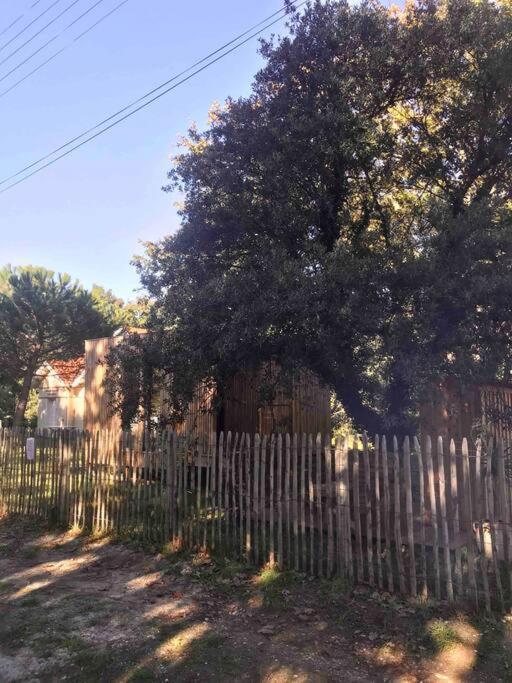 Ma Cabane Sous Les Arbres Soulac-sur-Mer Exterior foto