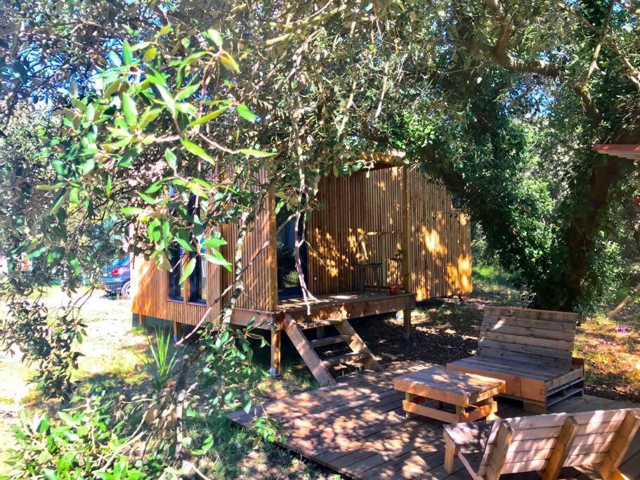 Ma Cabane Sous Les Arbres Soulac-sur-Mer Exterior foto