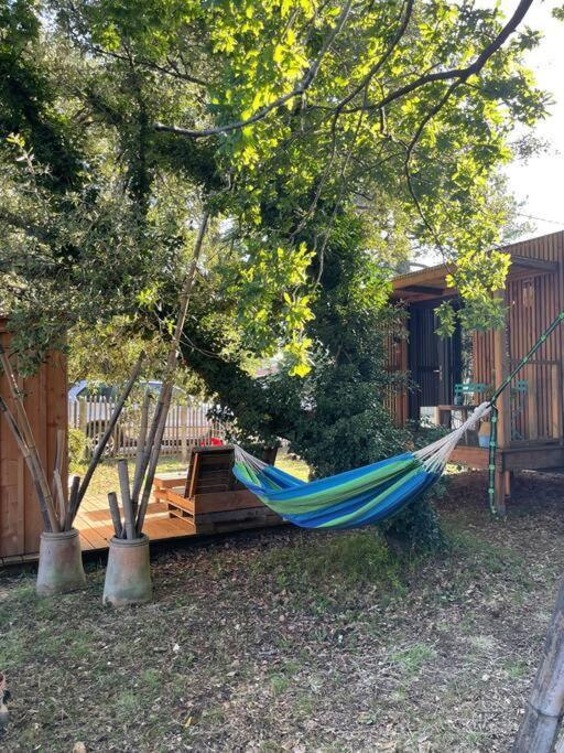 Ma Cabane Sous Les Arbres Soulac-sur-Mer Exterior foto